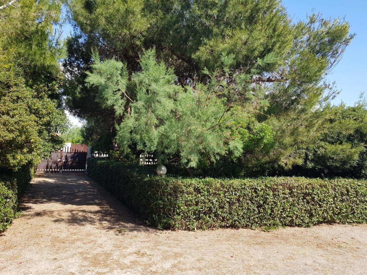 Villa Cino Punta Prosciutto Exteriör bild