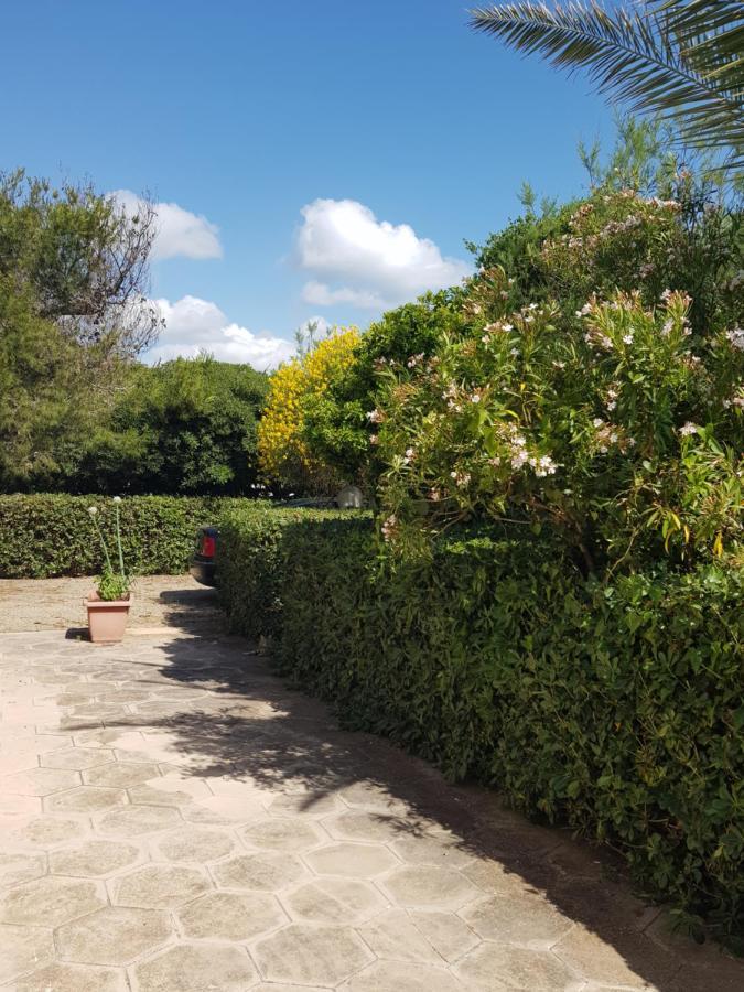 Villa Cino Punta Prosciutto Exteriör bild