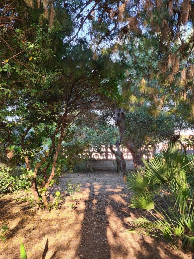 Villa Cino Punta Prosciutto Exteriör bild